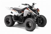 2010 Yamaha Raptor 90 photo